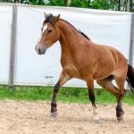 LOTE 012 - AURORA ESM DA PPMP