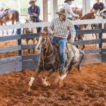 LOTE 005 - SANJOS MEDADAS ME