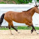 LOTE 014 - BONECA ESM DA PPMP