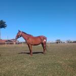 LOTE 012 - HEZA TO KEYS MPQ