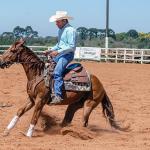 LOTE 018 - CD COBALT WHIZ