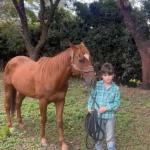 LOTE 009 - KING ZANA G2