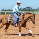 LOTE 018 - CD COBALT WHIZ