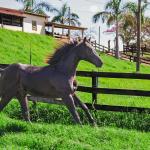 LOTE 005 - DOC S METALIC BAR TZ