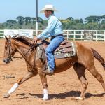 LOTE 018 - CD COBALT WHIZ