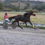 LOTE 006 - HG M BRULÉ (Ventre com Cobertura Exclusiva)