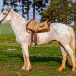 LOTE 009 - DANÇARINA DA ARKAFLA