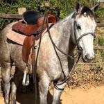 LOTE 001 - VALENTINA DASH (Ventre Livre)