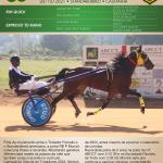 LOTE 003 - RB P MONICK  (Ventre com Cobertura Exclusiva)