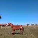 LOTE 012 - HEZA TO KEYS MPQ