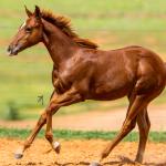 LOTE 004 - TIME TO HEAVESN WSR