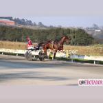LOTE 002 - CANTIGA SR  (Ventre com Cobertura Exclusiva)