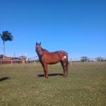 LOTE 012 - HEZA TO KEYS MPQ