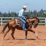 LOTE 018 - CD COBALT WHIZ