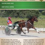 LOTE 002 - CANTIGA SR  (Ventre com Cobertura Exclusiva)