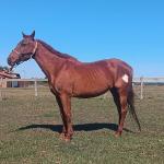 LOTE 012 - HEZA TO KEYS MPQ
