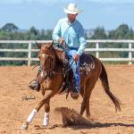 LOTE 018 - CD COBALT WHIZ