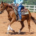 LOTE 018 - CD COBALT WHIZ
