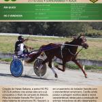 LOTE 005 - HG PQ CECÍLIA (Ventre com Cobertura Exclusiva)