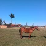 LOTE 012 - HEZA TO KEYS MPQ