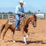 LOTE 018 - CD COBALT WHIZ