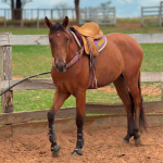 LOTE 009 - TORNADO BEN ROXO
