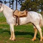 LOTE 009 - DANÇARINA DA ARKAFLA