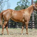 LOTE 016 - CD BEAVERZITA