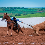 LOTE 019 - SILVER PEPPY DOC