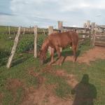 LOTE 008 - SILVER F STONES