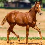 LOTE 004 - TIME TO HEAVESN WSR