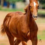 LOTE 004 - TIME TO HEAVESN WSR