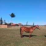 LOTE 012 - HEZA TO KEYS MPQ