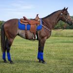 LOTE 011 - GO FAST RED PY’S