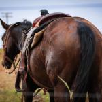 LOTE 004 - LENA FIRE SAND JVM