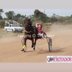 LOTE 002 - CANTIGA SR  (Ventre com Cobertura Exclusiva)