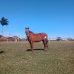 LOTE 012 - HEZA TO KEYS MPQ