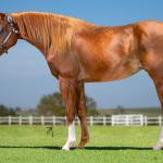 LOTE 002 - MEMORY DOLLAR LUCK